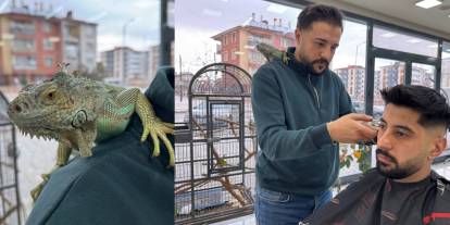 Konya'nın en sıra dışı kuaförü. Omzunda iguana Escobar ile tıraş yapıyor