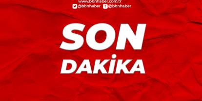 Orman yangınları: 2 şehir afet bölgesi ilan edildi