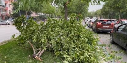 Konya'ya Meteoroloji Genel Müdürlüğü'nden kritik uyarı! Şiddetli rüzgar etkili olacak