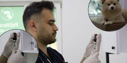 "İnsanlara da bulaşıyor" diyerek uyardı: Özellikle yaz mevsiminde dikkat edilmeli!