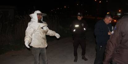 Konya'da arı dolu kamyonet devrildi. Ortalık savaş alanına döndü