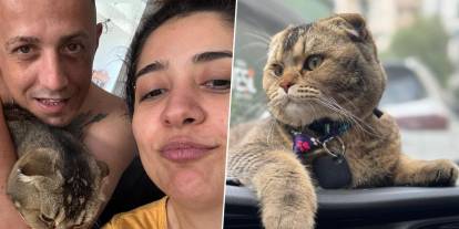 Kedisi kaybolan Zeynep'in gözyaşları: Kocam beni boşayacak