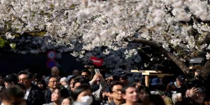 Ülke tetikte! Japonya korkunç kehanetle sarsılıyor