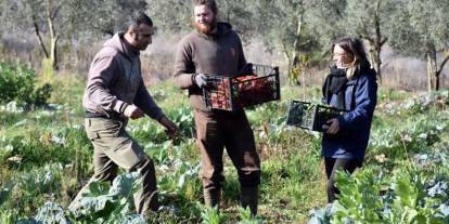 O sektörde gençlerin oranı yüzde 5'e düştü; gıda üretiminde alarm zilleri çalıyor
