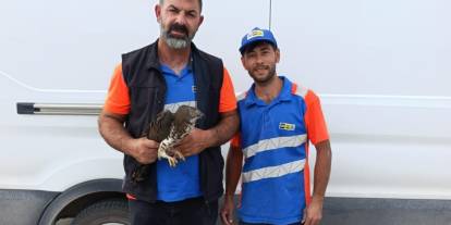 Karapınar'da yaralı kızıl şahine şefkat eli