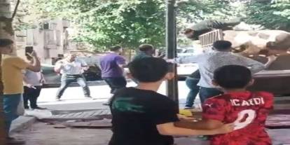 Kurbanlık boğa saldırısı: Kasap kamyonet kasasında ölümden döndü