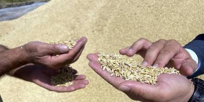Hububatta ihracat rekoru kırıldı: Konyalı çiftçiler buğday alım fiyatlarının enflasyonla uyumlu belirlenmesini istiyor