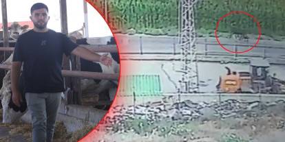 Bulana ödül var mı? Yurtdışından getirilen anguslar firar etti