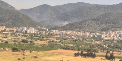 İzmir'de orman yangını
