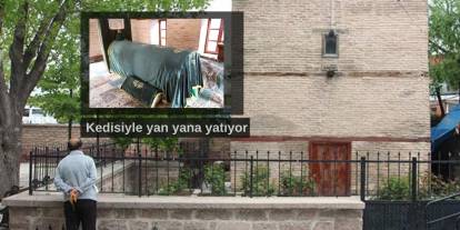 Konya’daki bu veli türbesini 769 yıldır kedisiyle paylaşıyor: Ölümü göze alan sadakatin hikayesi