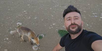 Bu tilki kıtır kıtır cips yiyor. Gökhan Aslan'ın yeni dostu oldu