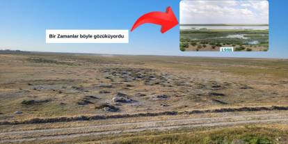 Konya ile Aksaray arasındaki kuş cenneti göl, çöl oldu! Eşmekaya Sazlığından geriye türküsü kaldı