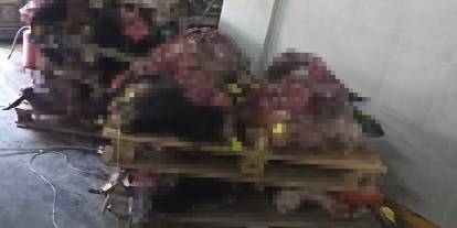 Korkunç manzara: Yüzlerce hayvan kafası bulundu