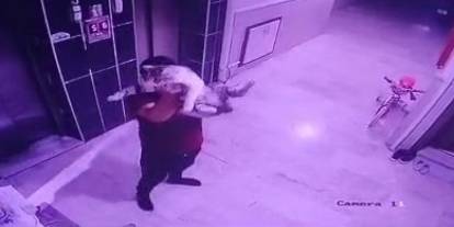 Hayvanlara işkence akımı: Küresel çete ortaya çıkarıldı