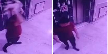 Konya'da hamile kediye şiddet uygulayan şahıs gözaltına alındı