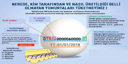 Yumurtanın üzerindeki kodlar ne anlama geliyor? Yumurta deyip geçme