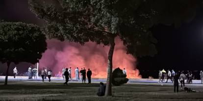Konya Beyşehir Gölü kenarında korkutan yangın