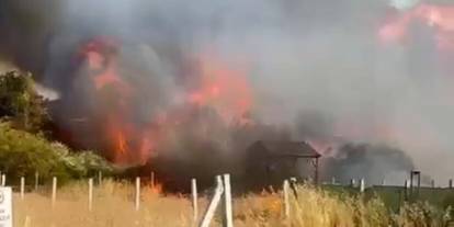 İzmir'de orman yangını: 8 ev zarar gördü