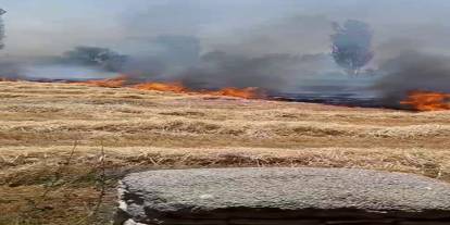 Konya'da yürekleri ağza getiren anız yangını
