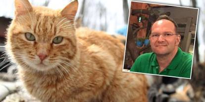 Kedi sevgisi sonu oldu! Akciğerine kaçan tüy nedeniyle hayatını kaybetti
