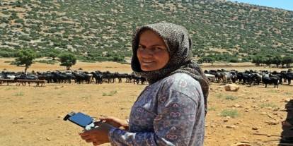Çoban köpekleri yerine dron: Teknolojik çobanlık devrede