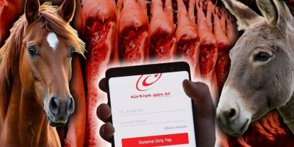 At, eşek ve domuz eti satanlar artık e-Devlet'te: Ne yediğimizi bileceğiz