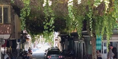 Türkiye’nin doğal klimalı çarşısı: Alaşehir Asmalı Çarşı
