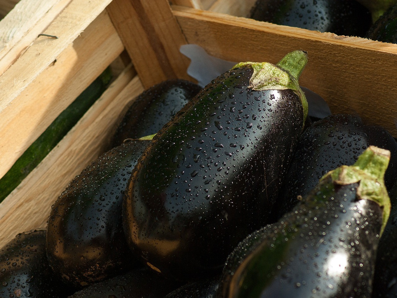 eggplant-1707629-1280-qprz.jpg