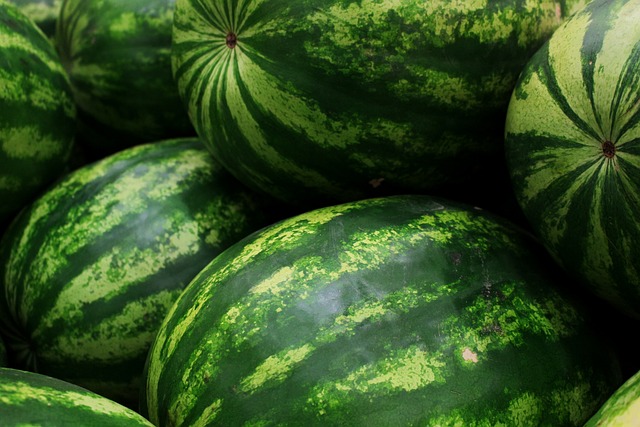 watermelons-5318938-640.jpg