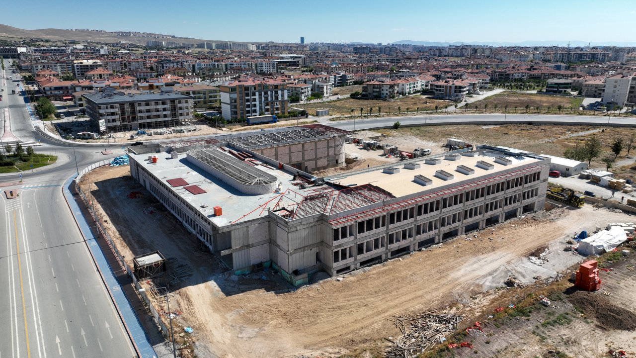 dji-0816.jpg