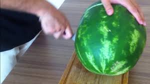 images.jpg