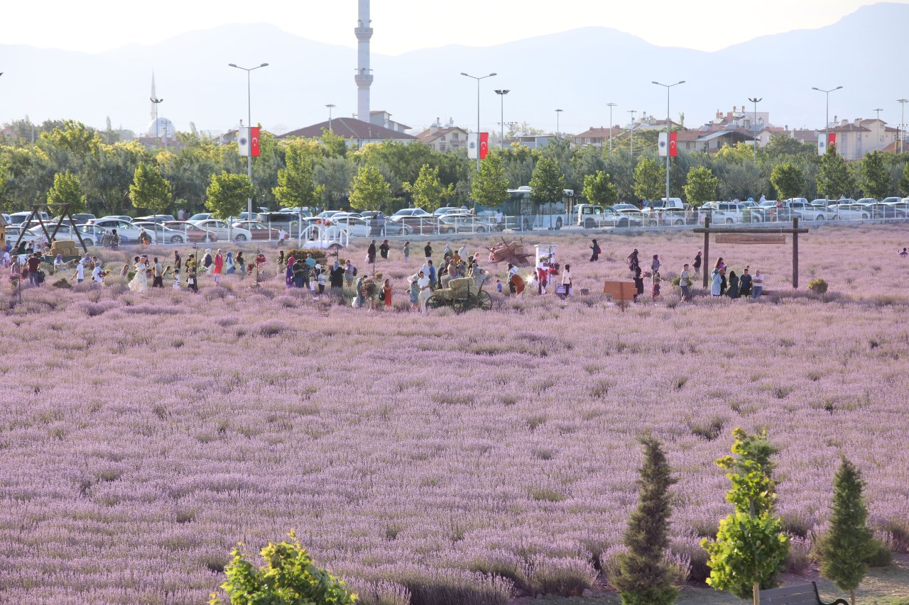 karatay-lavanta-gunleri-13.jpg