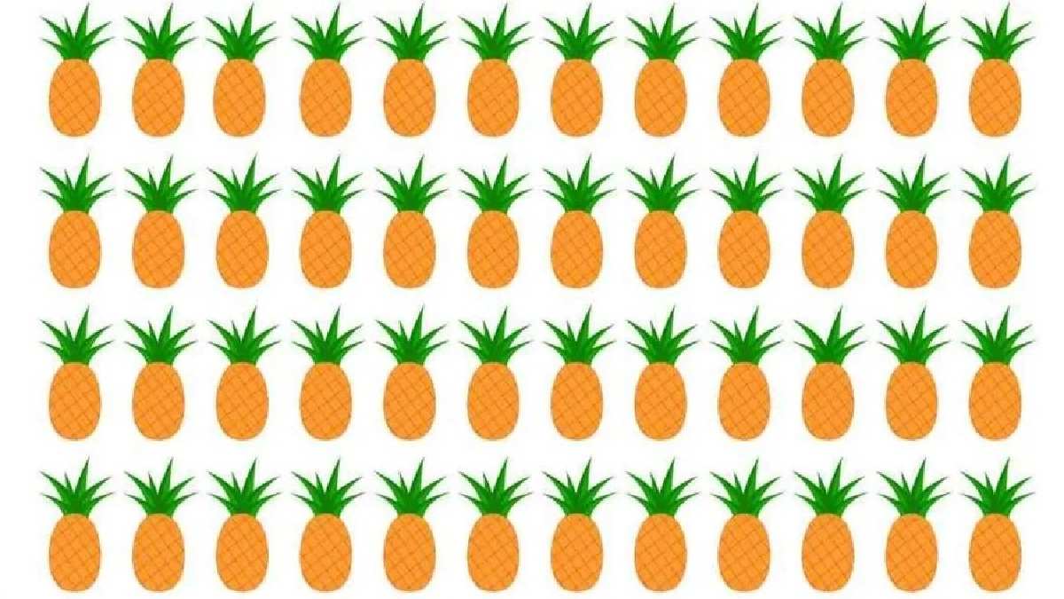 ananas-kapak.jpg