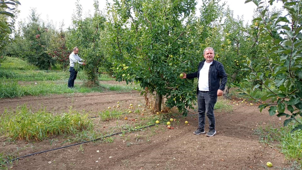 beysehir-elma-hasadi.jpg