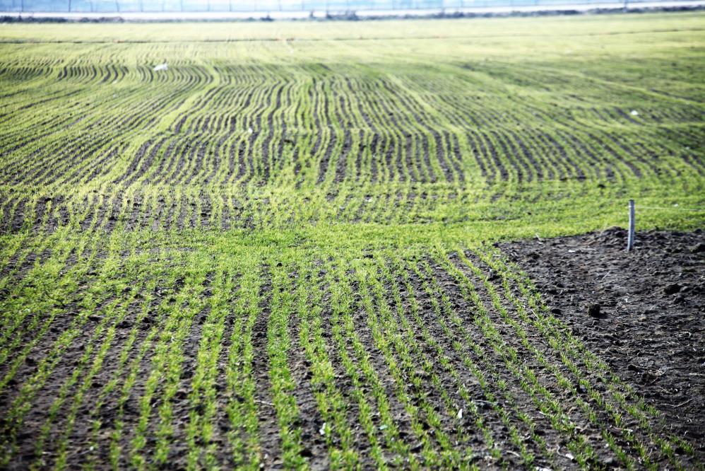 yagislar-konya-ciftcisi-icin-yeterli-mi-son-durum-aciklandi-002.jpg