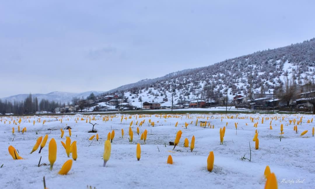 konya-bartli-yaylasi-konya-ahirli-1.jpeg