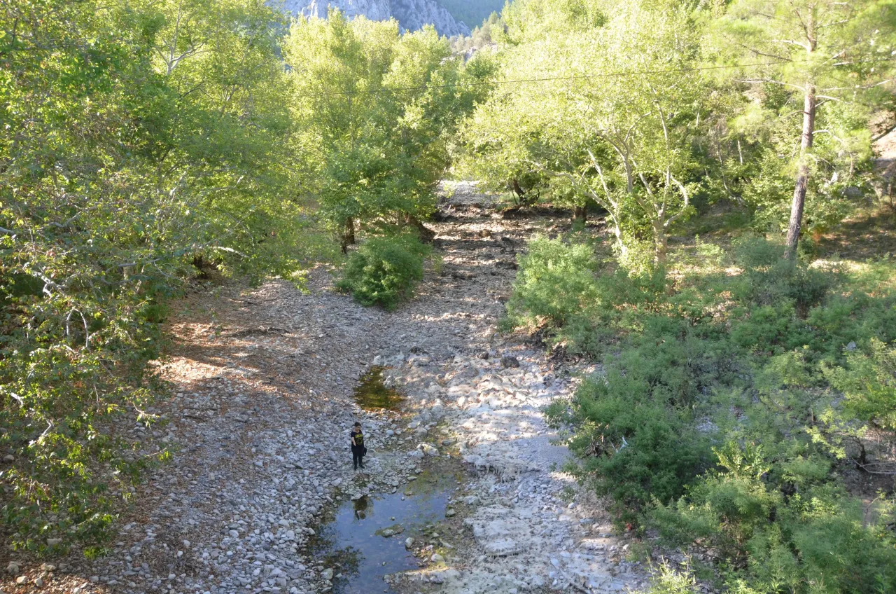 zumdere.webp