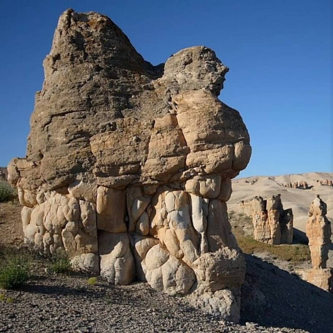 kusca-peribacalri.jpg