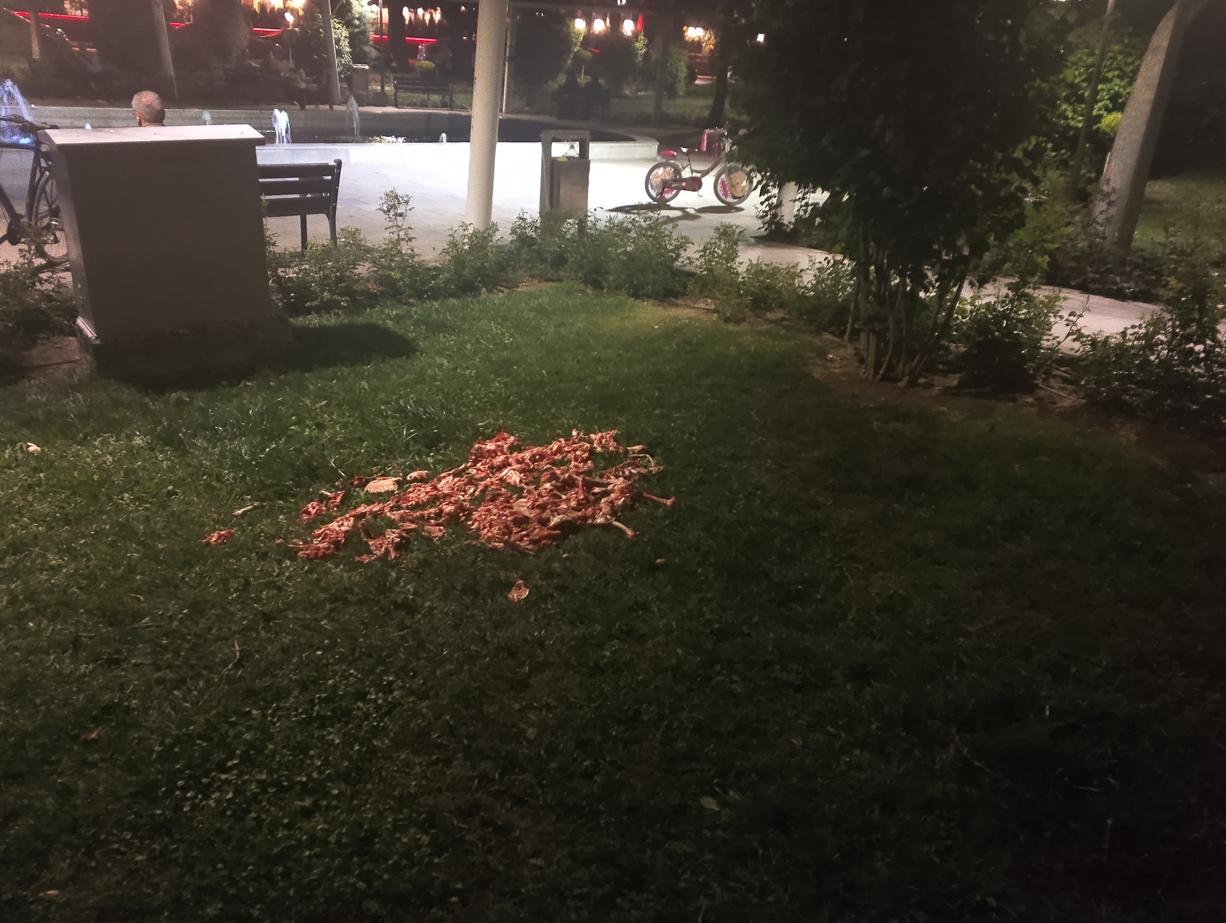 evliyacelebi-parkinda-cig-et-problemi.jpg