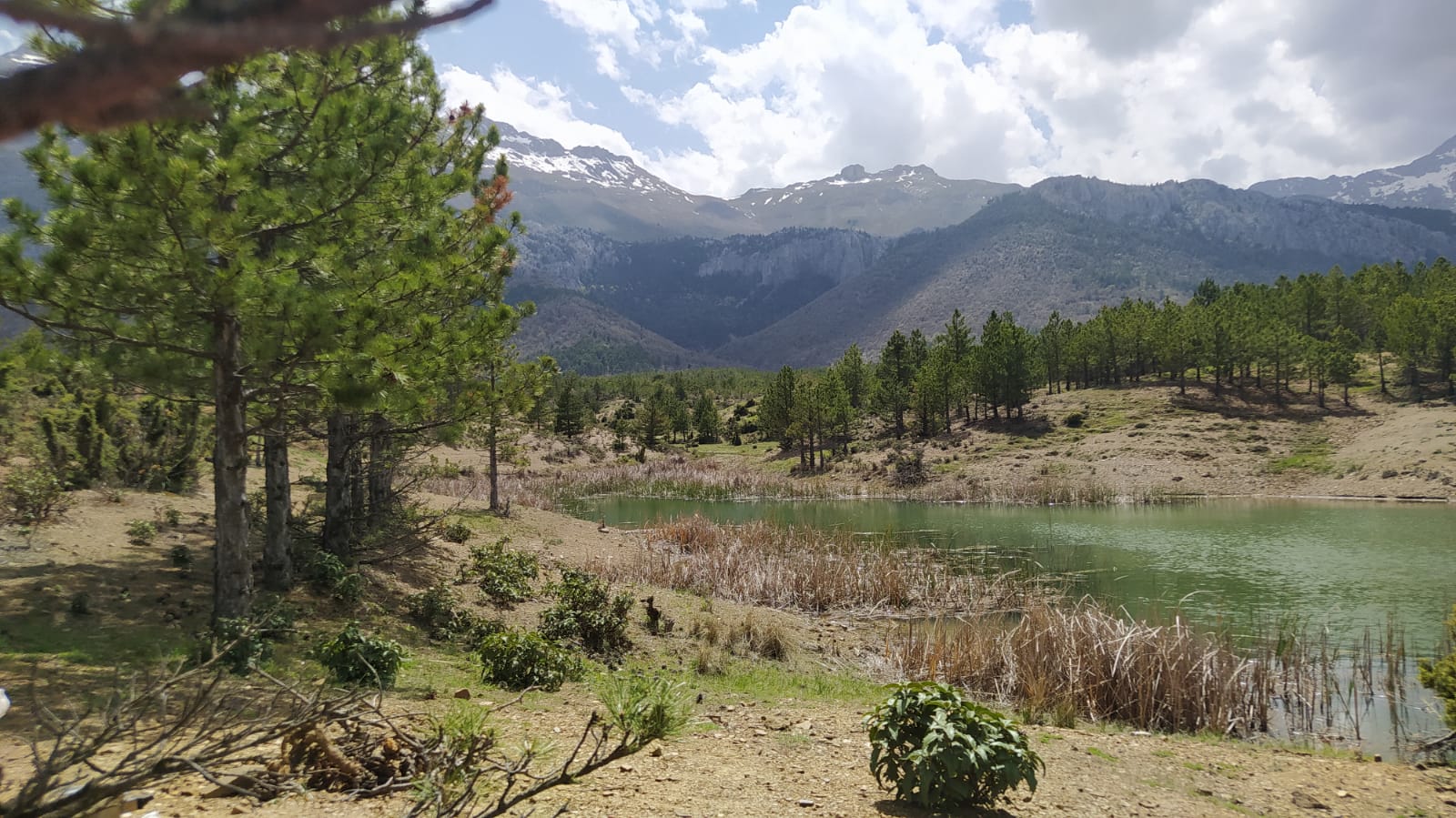 kayali-dagi-konya-kayali-yaylasi-6.jpeg