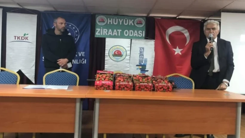 yeni-proje-59-2m3z.webp