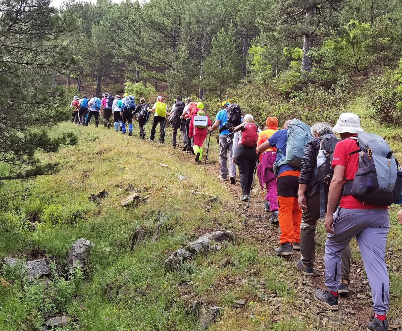homonada-yolu-seydisehir-1.jpg