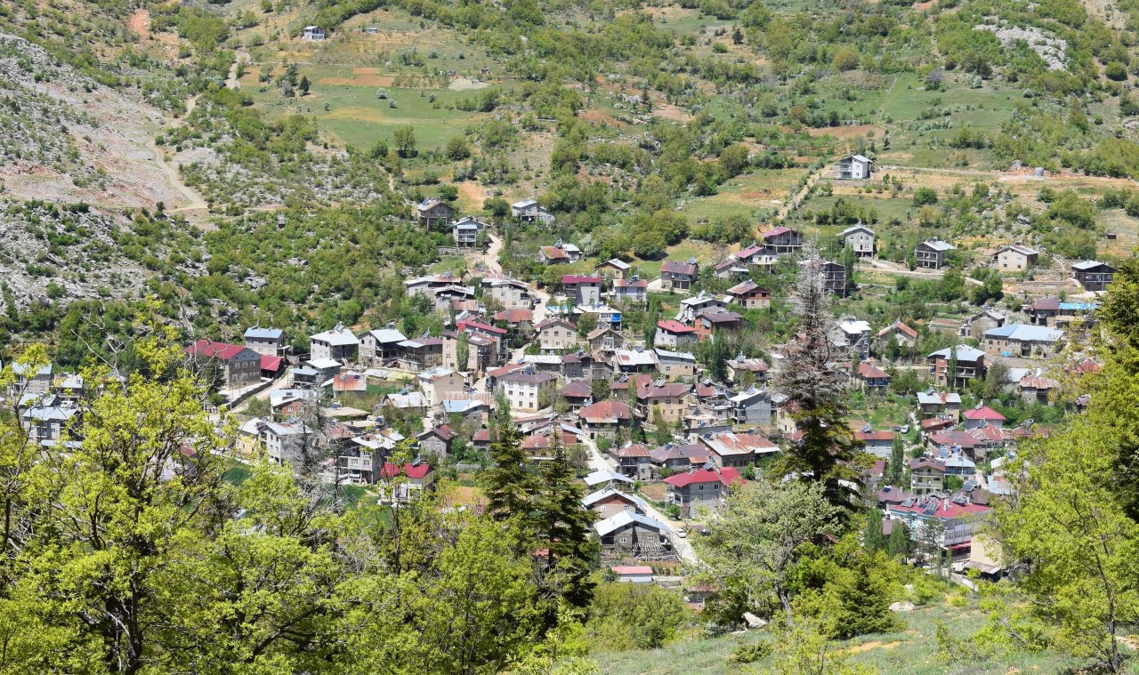 gezlevi-dsc-0077-1.jpg