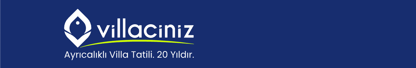 cvb546778.png