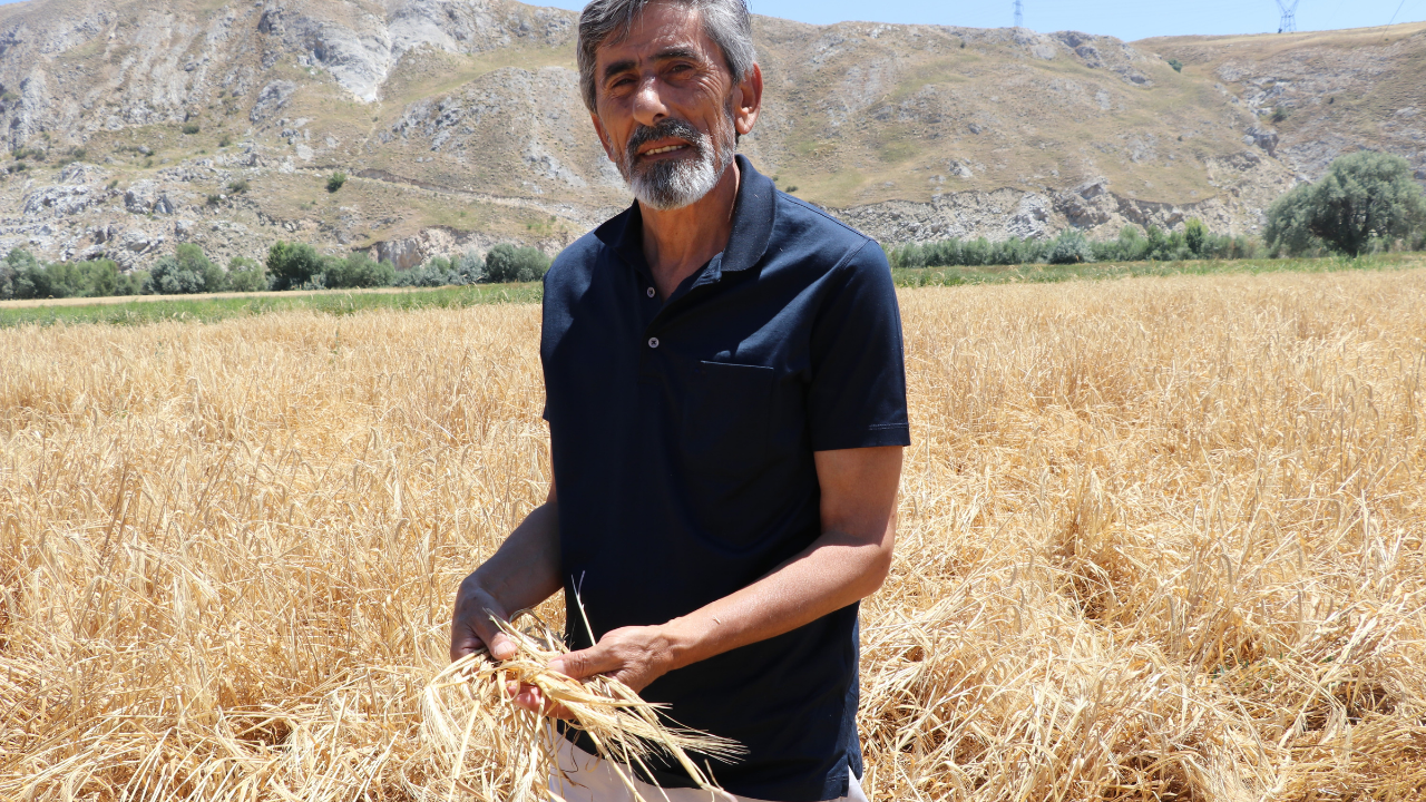 su-yuzeyindeki-olu-baliklar-gorenlerin-icini-burktu-sogut-agaclariyla-cevrili-sarisu-cayi-guzergahinda-bulunan-halk-arasinda-top-armut-olarak-bilinen-bolge-bir-zamanlar-gol-sulariyla-bulusuyordu-7.png